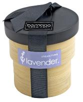 Urban Lavender Bamboo Grow Pot