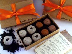 Garden Gift Seed Bombs- Urban Gardener
